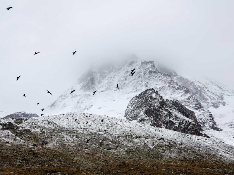 sudoku level unlock screenshot 3